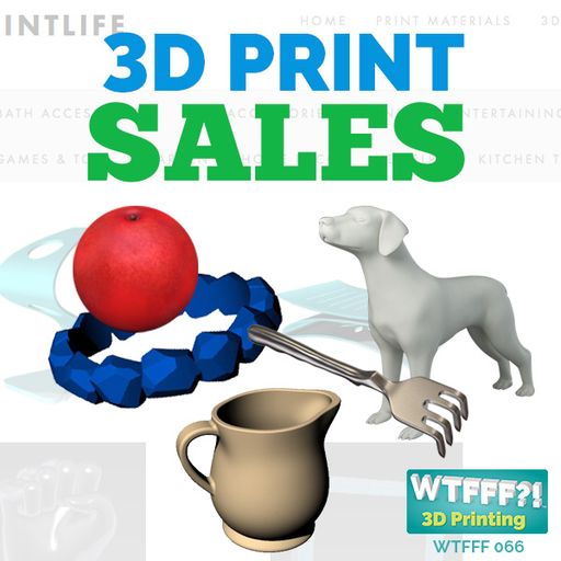 WTFFF 066: Day in the Life - 3D Print Sales with Buzz Baldwin of 3D Print Life