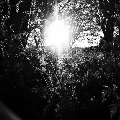 New Tenderness w. Xenogothic - September 2022