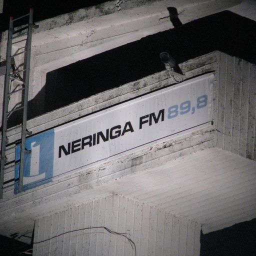 Neringos Sekretas 41 b (2012-02-21)