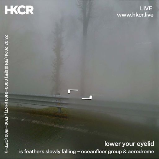 lower your eyelid is feathers slowly falling: oceanfloor group & aerodrome - 22/02/2024