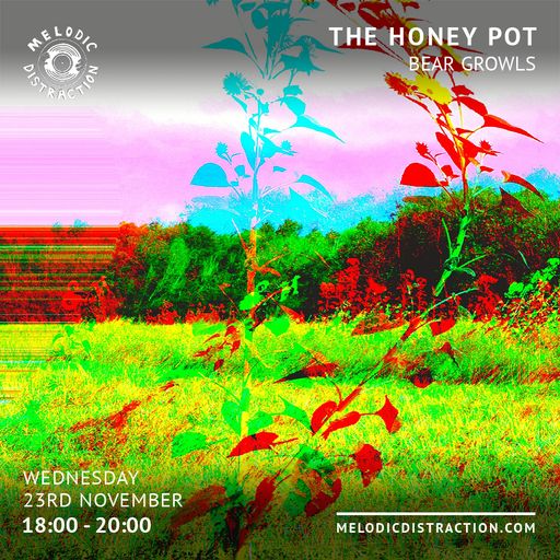 The Honey Pot with Bear Growls (November '22)