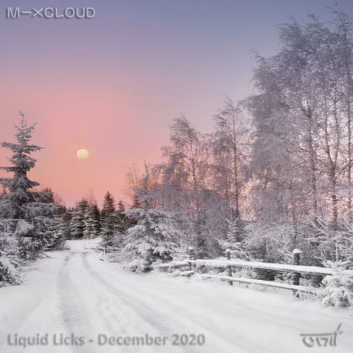 Liquid Licks December 2020