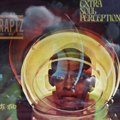 EXTRA SOUL PERCEPTION #4 ~ DJ FIB