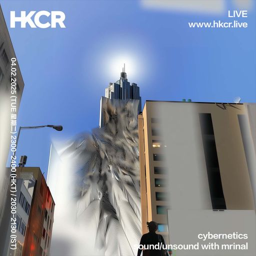 cybernetics: sound unsound w mrinal - 04/02/2025