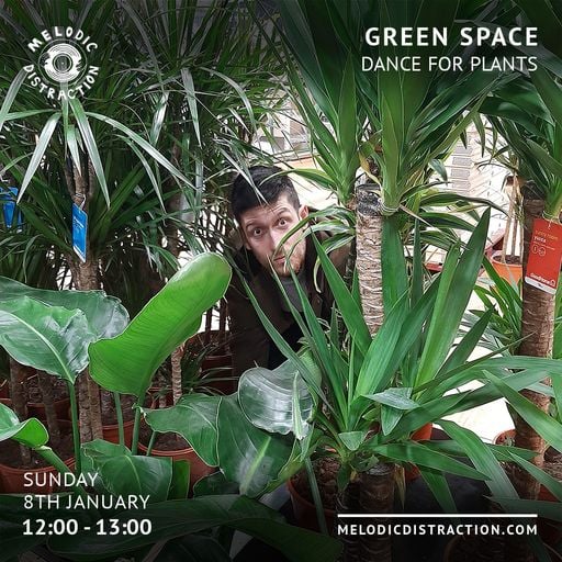 Green Space with Dance for Plants (January '23)