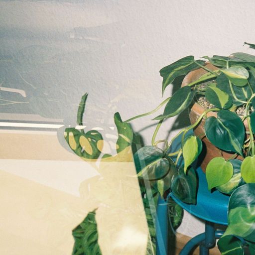 'Walking + Falling' w. Days Like Television - March 2023