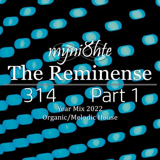 The Reminense 314 - Year Mix 2022 Part 1