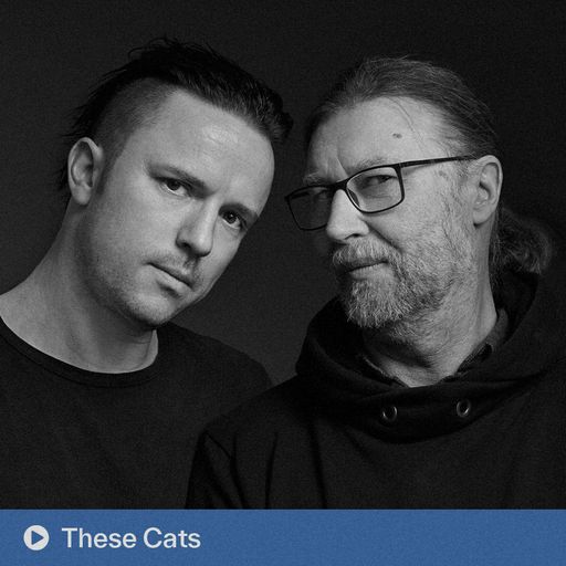 These Cats (03.08.2025)