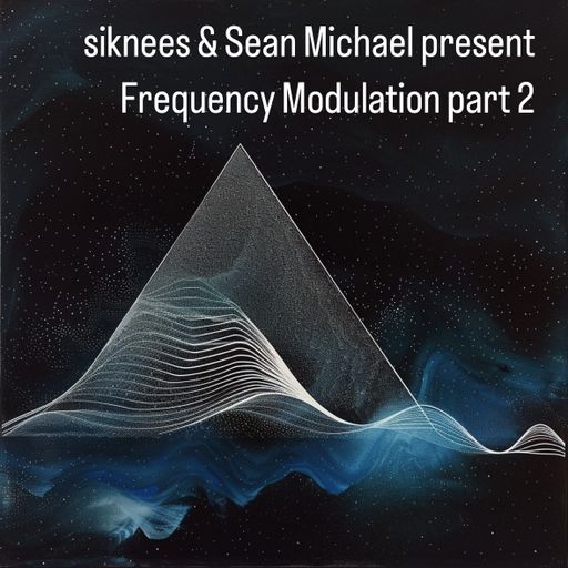 siknees & Sean Michael present Frequency Modulation Part 2