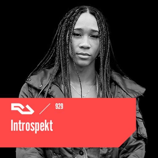 RA.929 Introspekt