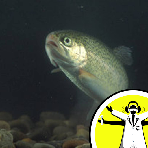 What Happens to a Tankful of Fish in Orbit?