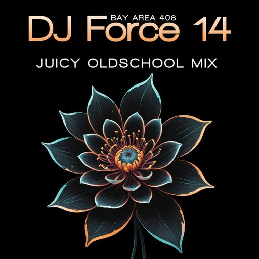 DJ FORCE 14 *JUICY FRUIT* OLDSCHOOL BAY AREA NorCal 408 EAST SIDE SAN JOSE