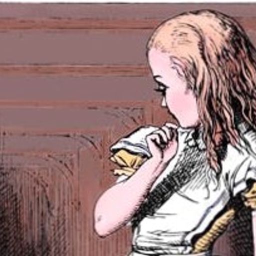 Down the Rabbithole (PsychedelicDub)