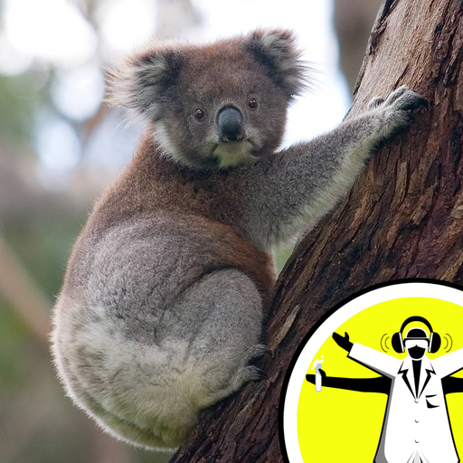 Science Down Under 2010