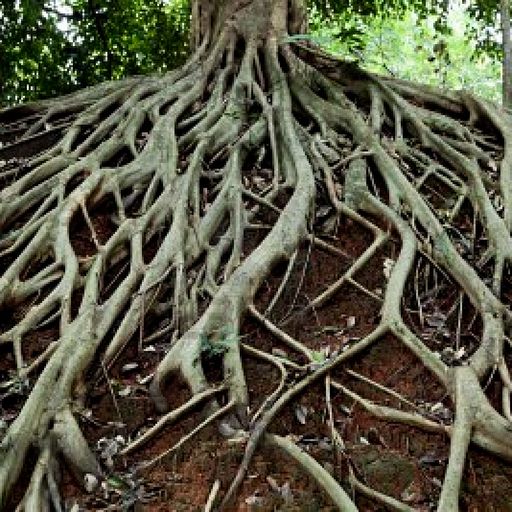 LeYan - Nothing But The Roots Mix