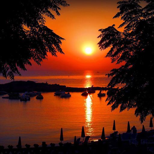 THE JOURNEYS OF RHYTHM#BLACKFINGERS-MAGICAL SUNRISE#1