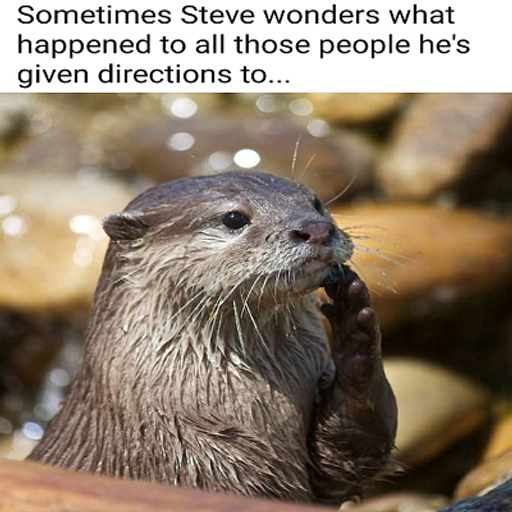 Steve Lewis wednesday house session 2nd April 2025