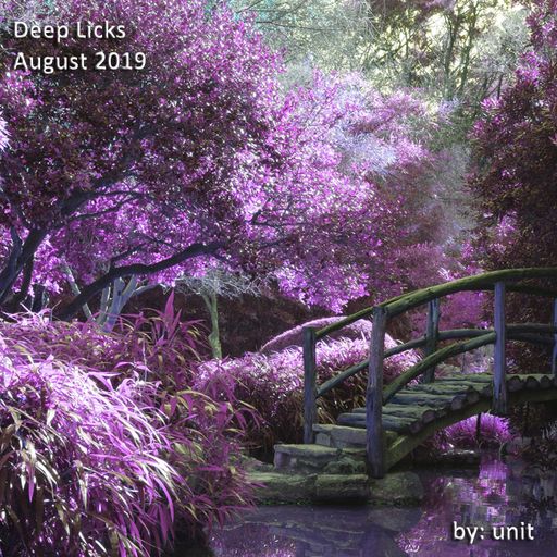 Deep Licks August 2019