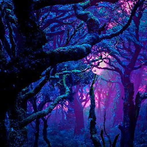 Into the woods by Segu