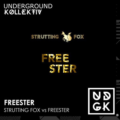 Freester - Liberation #013 - B2B with Strutting Fox (UDGK: 29/06/2023)
