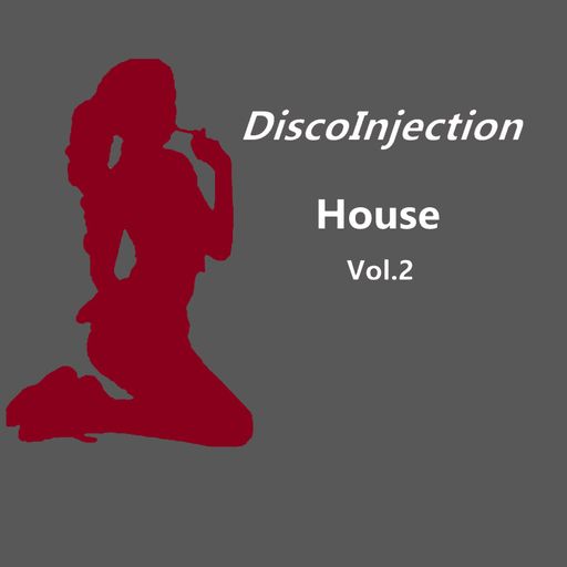 House Mix Vol. 2 / 2022 by DiscoInjection
