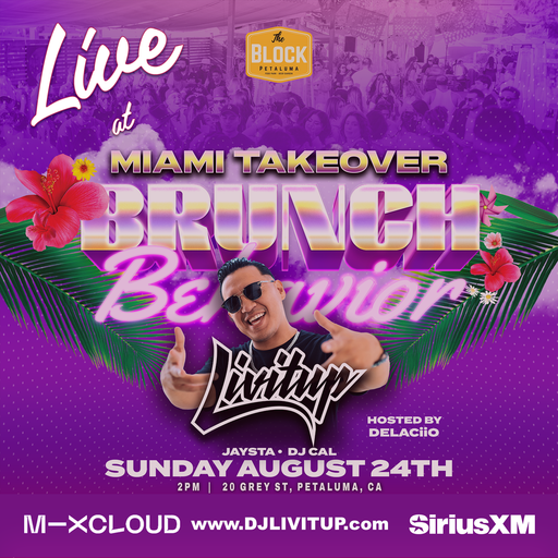 DJ Livitup Live at Brunch Behavior 08.24.25 Petaluma, CA