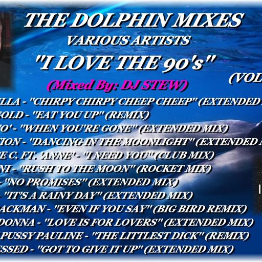 THE DOLPHIN MIXES - VARIOUS ARTISTS - ''I LOVE THE 90's'' (VOLUME 8)
