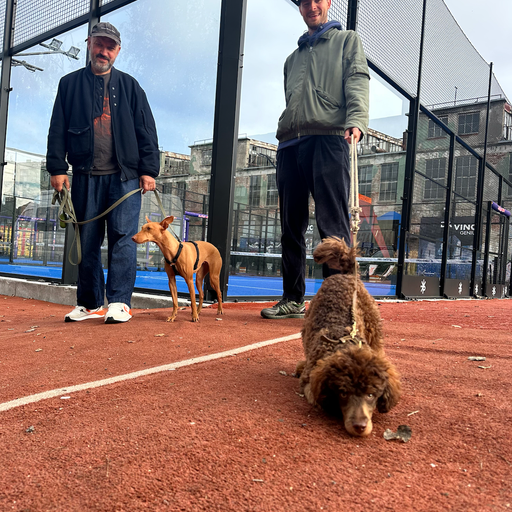 Ajukaja and Ats w/ the Early Morning Show 25/09/25