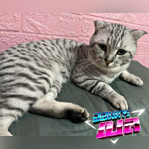 คีรี74 [160BPM] #ดีเจจอมมารเบล