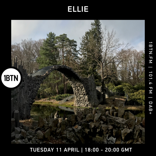 Ellie - 12.04.2022
