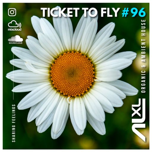 TICKET TO FLY #96 MAY 2024 (Organic House)