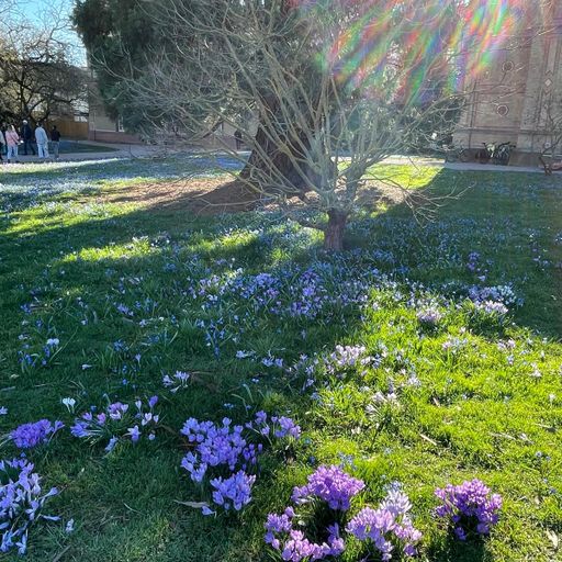 DREADheadz 5 DUB & Reggae am 3.3.2026