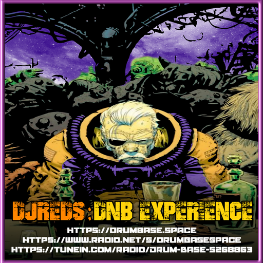 dnb experience 19102019