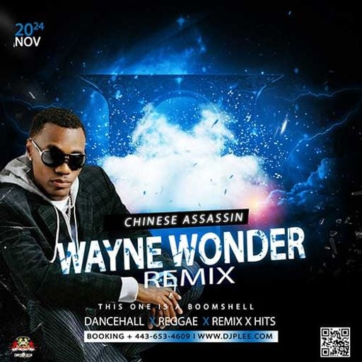 Chinese Assassin-Wayne Wonder (Remix) [Full Mixtape Link In Description]