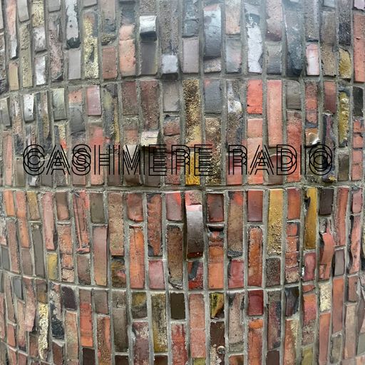Acid Shampoo #24 S3 Ploughed Fields & Creativity Of Dissent. w/ Vincent Manfuoco 09.03.2024