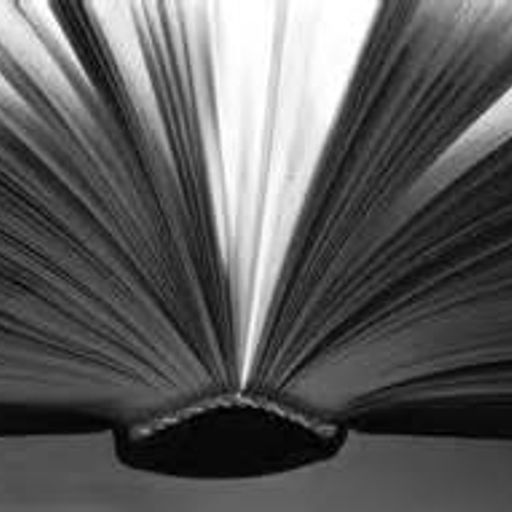 The Brum Radio Book Show with Mike Gayle and Blake Woodham (29/4/16)