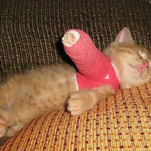 soft serve with gabriela bernadette 071121