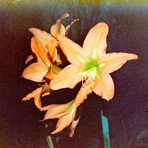 Volatile states vol. 5