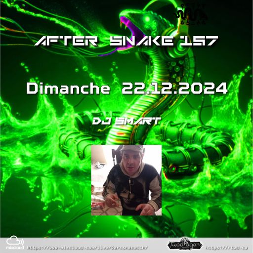 AFTER SNAKE 157 "Guest Mix Techno By DJ Smart" Radio TwoDragons 22.12.2024