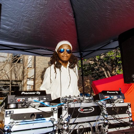 Vibes & Scribes New & Classic House Series Volume #176