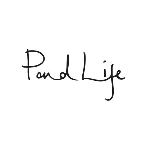 Pondlife: Live From The Forest [Gottwood Radio] (June '23)