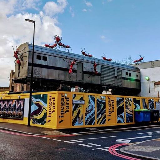 Dead Full x Vinegar Yard