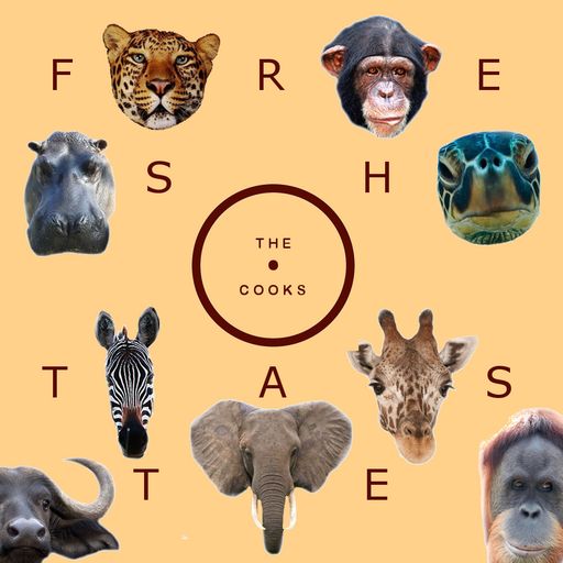 Fresh Taste #40