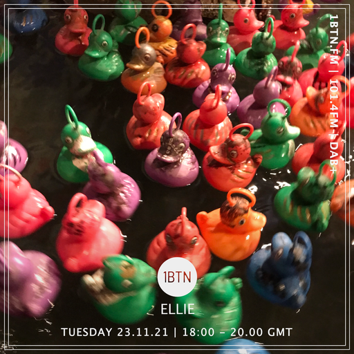 Ellie - 23.11.2021