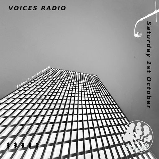 Reflex interference w/ Ossou - 01/10/22