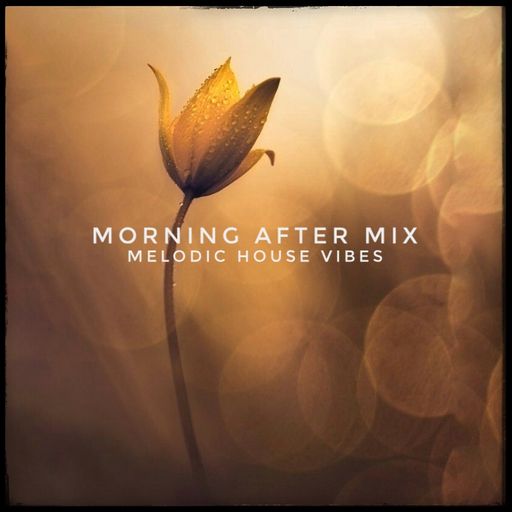 Morning After Mix July25 - Melodic House Vibes
