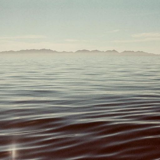 Carlos René: Dandy Lion Takeover  - 26th June 2025