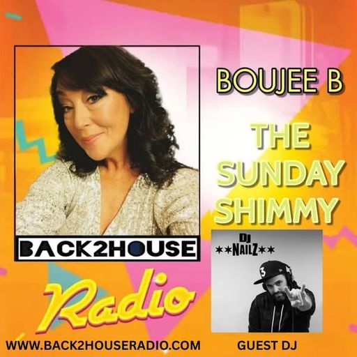 The Sunday shimmy back2house radio ep26 Dj Nailz guest mix 27/04/25