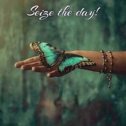 "Seize The Day"