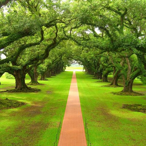 Club melodies episode 20 ( l suoni melodici della notte mixati da andrea dobermann )